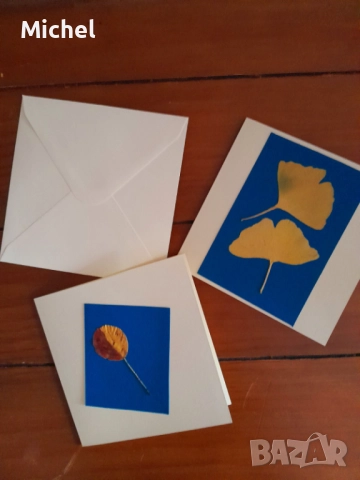 Картички с плик от хербарий