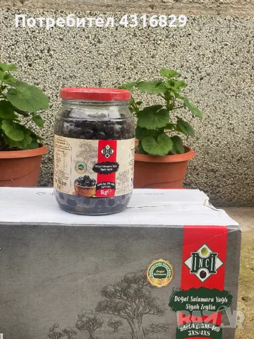 Маслини - INCI, снимка 2 - Други - 50329025