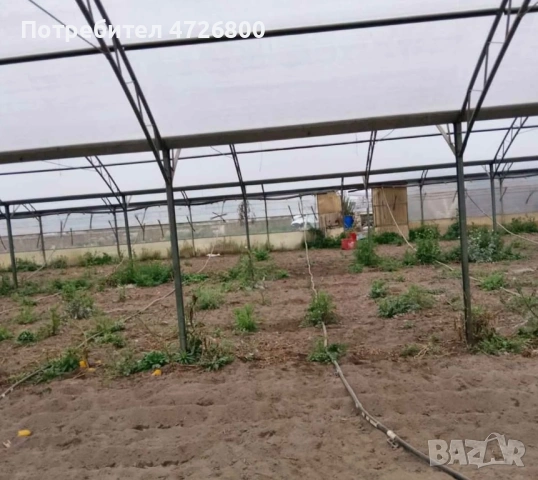 Конструкции за оранжерии, снимка 7 - Оранжерии - 54258996