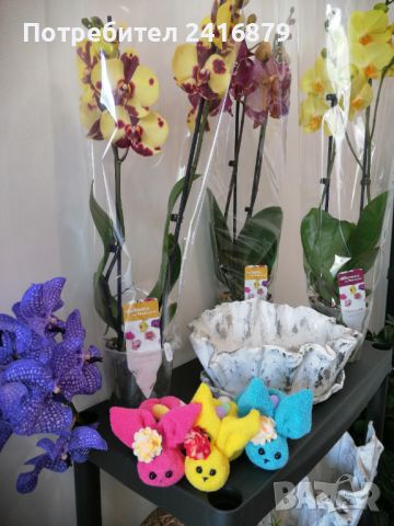 Магазин за ръчно изработени подаръци, снимка 2 - Градински цветя и растения - 45117673