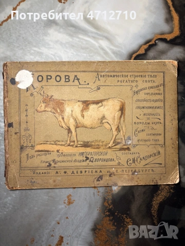Антикварна руска книга „Корова“ – анатомия на едър рогат добитък (1897 г.)