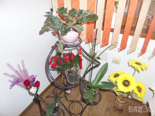 Samsung WB250F  14 мрХ, снимка 12 - Фотоапарати - 54186826