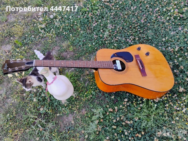 Германска акустична китара , снимка 15 - Китари - 50899222