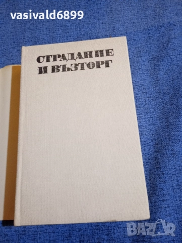 Ървинг Стоун - Страдание и възторг, снимка 4 - Художествена литература - 51787870