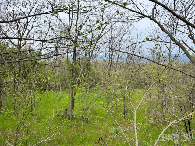 Парцел 907 кв.м. в Казанлък Вилна Зона "Стари Лозя" зад Художествената Гимназия , снимка 1