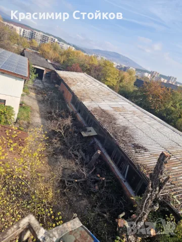 Рязане на дървета и клони по алпийски способ, услуги с автовишки!, снимка 2 - Други - 47993161