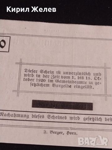 Банкнота НОТГЕЛД 20 хелер 1920г. Австрия перфектно състояние за КОЛЕКЦИОНЕРИ 44663, снимка 7 - Нумизматика и бонистика - 45234173