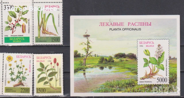 Чисти марки и блок Флора Лечебни растения Билки 1996 от Беларус