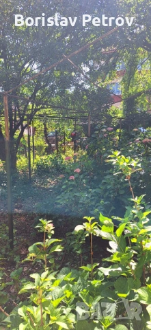 Продава се къща,гр.Вършец, снимка 7 - Къщи - 54165078