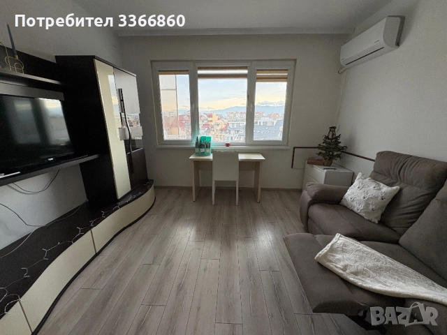 Стая под наем в Пловдив , снимка 5 - Стаи под наем - 52989617