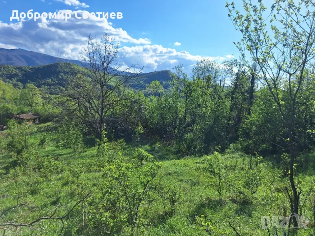парцел в Еленският балкан , снимка 3 - Парцели - 50342176