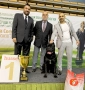 Cane Corso ELITE, снимка 13
