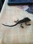 Красив бронзов гущер, снимка 6