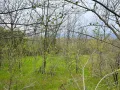 Парцел 907 кв.м. в Казанлък Вилна Зона "Стари Лозя" зад Художествената Гимназия , снимка 1