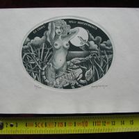 Графика Гравюра Екслибрис Еротичен скорпион Голо Тяло оригинал, снимка 2 - Колекции - 46203352