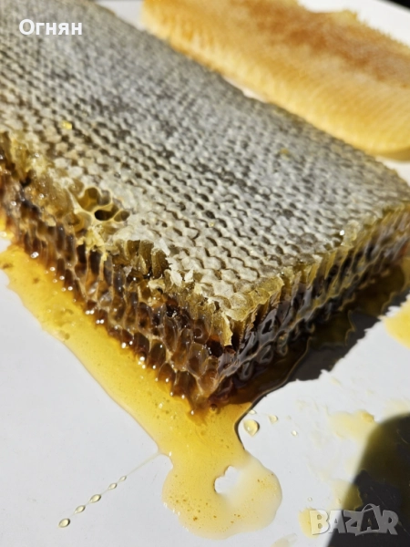 Мед в пчелна пита, снимка 1