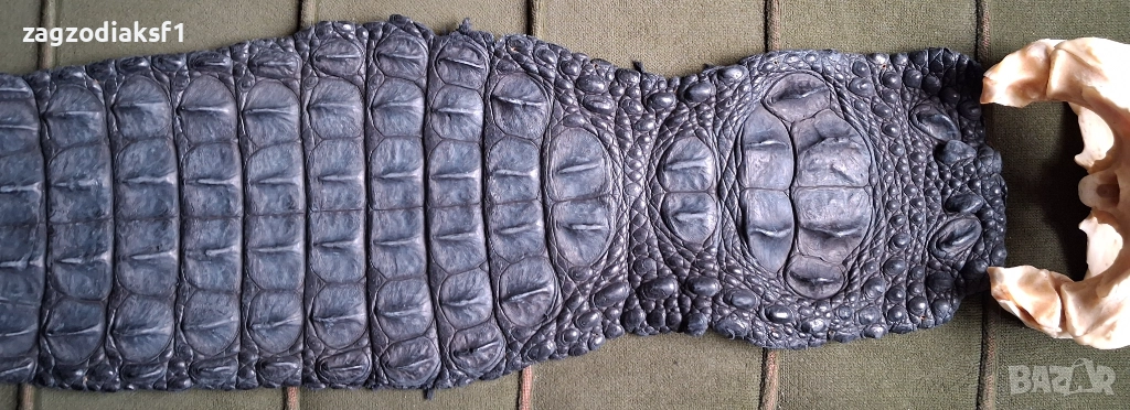 Кожа от гръб на Крокодил 153,5 см., снимка 1
