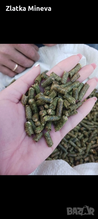 Гранула от люцерна, снимка 1