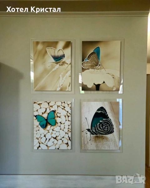 Разпродажба! Картини пеперуди, снимка 1