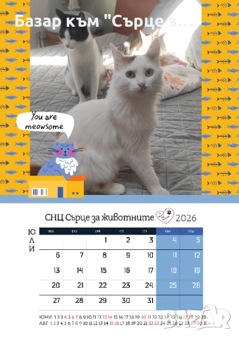 Благотворителен календар с подарък и бродирани пирамидки, снимка 7 - Други стоки за животни - 34917469