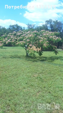 Собственик продава имот близо до Нова Загора с две самостоятелни къщи и плувен басейн, снимка 13 - Къщи - 51006813