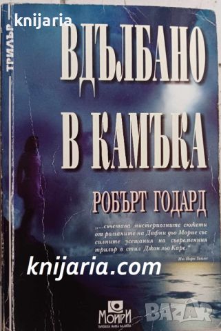 Вдълбано в камъка, снимка 1 - Художествена литература - 45961439