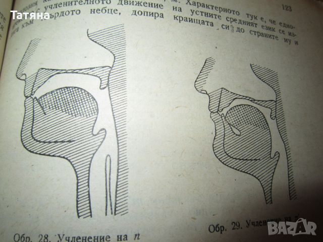 АНТИКВАРНИ КНИГИ-  СЪВРЕМЕНЕН БЪЛГАРСКИ ЕЗИК -учебник за учителските институти  1956г ПРОФ.АНДРЕЙЧИН, снимка 14 - Антикварни и старинни предмети - 45265924