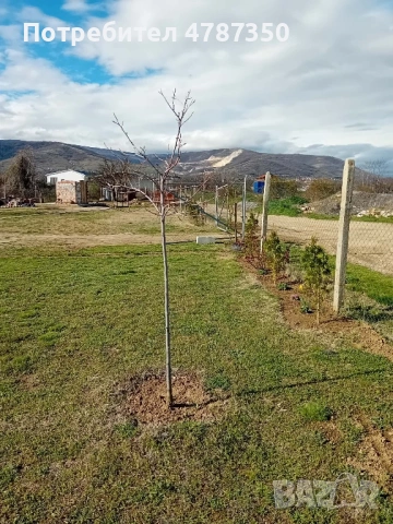 Продавам парцел с.браниполе, снимка 7 - Други - 54089491