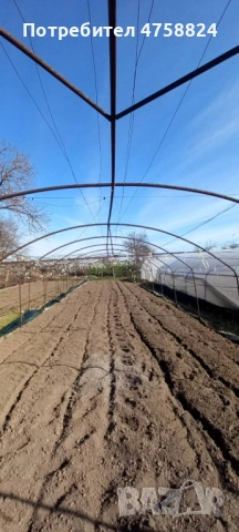 Оранжерия, снимка 3 - Оранжерии - 53755875