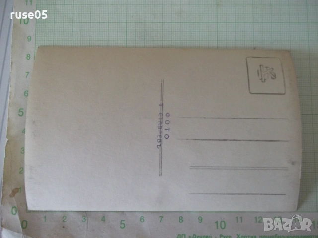 Снимка на дете през зимата стара - 1, снимка 2 - Колекции - 54245065