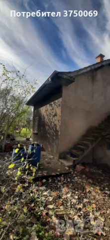 Рязане на опасни дървета по алпийски способ, снимка 2 - Други - 54069878