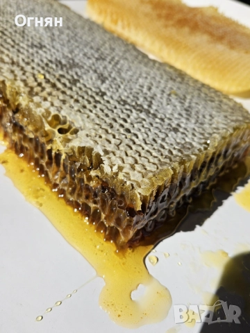 Мед в пчелна пита