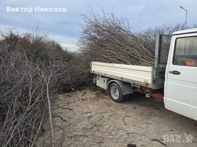 почистване на дворове , снимка 4 - Други почистващи услуги - 53224175