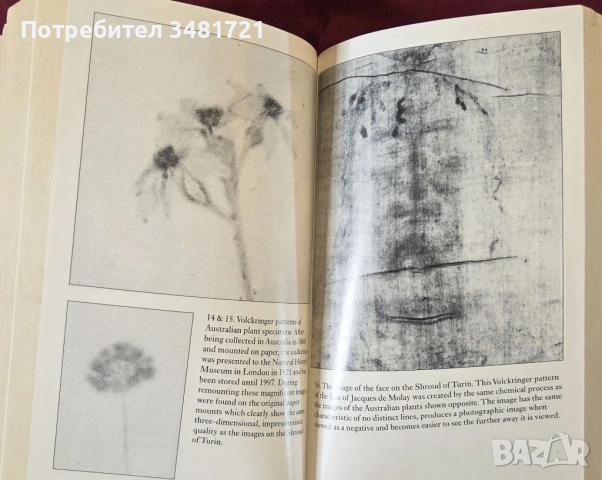 Вторият месия - тамплиери, Торинската плащаница и тайната на масоните / The Second Messiah, снимка 8 - Художествена литература - 53748134