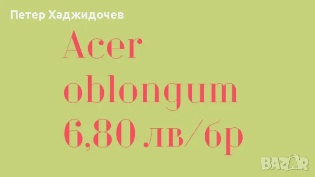 Разсад от вечнозелен дъб и явор, снимка 11 - Разсади - 47173568