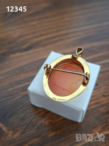 Старинна златна брошка/медальон с камея, снимка 5 - Колиета, медальони, синджири - 54074246