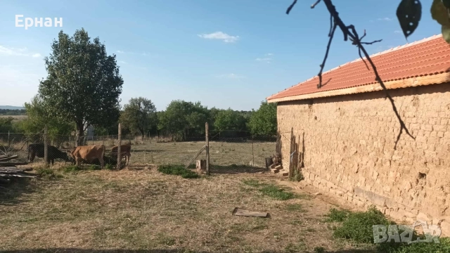 Къща в с Глашатай, Община Антоново, снимка 17 - Къщи - 52344245