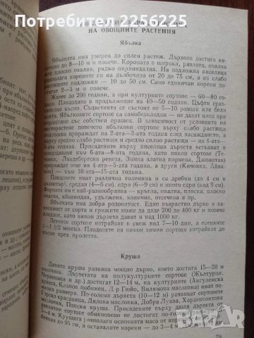 Справочник по овощарство, снимка 2 - Специализирана литература - 50611382