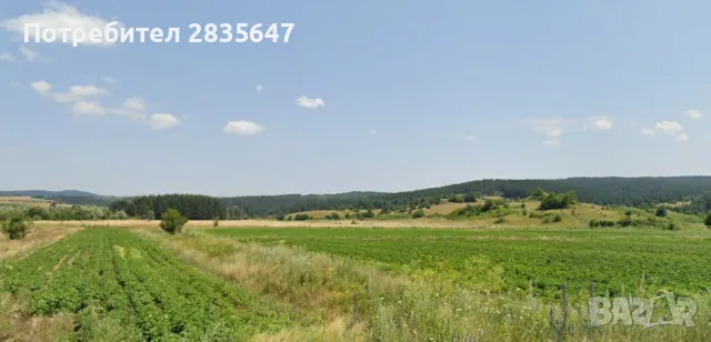 Планински горски парцел!, снимка 3 - Земеделска земя - 50005702