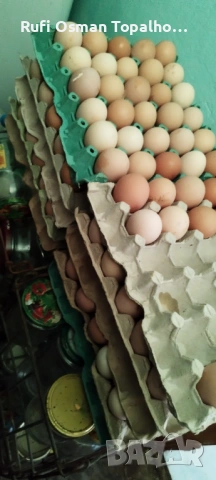Продавам  пресни домашни яйца