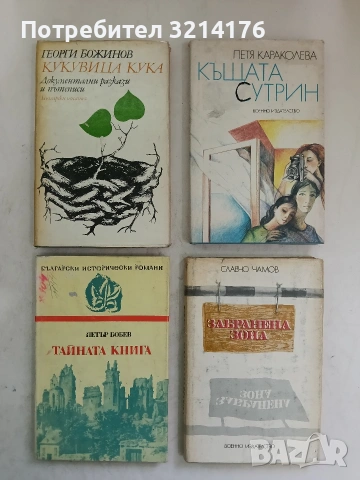 Тайната книга - Петър Бобев