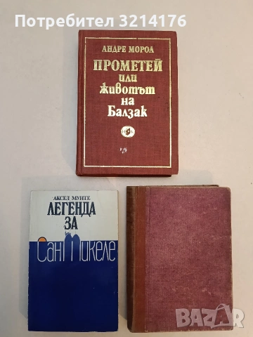 Легенда за Сан Микеле - Аксел Мунте