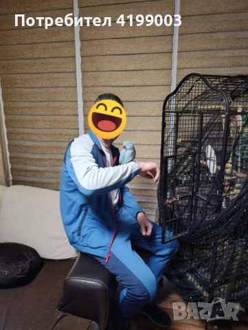 Продавам папагал вид Малък Александър + клетката, снимка 2 - Папагали - 53242442