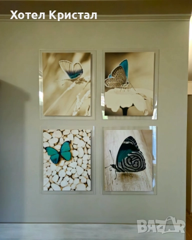 Разпродажба! Картини пеперуди