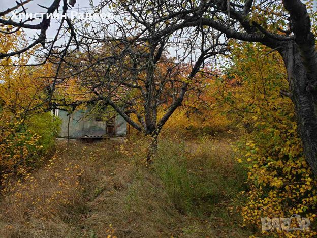 Парцел в село Войнеговци, снимка 6 - Парцели - 45796291