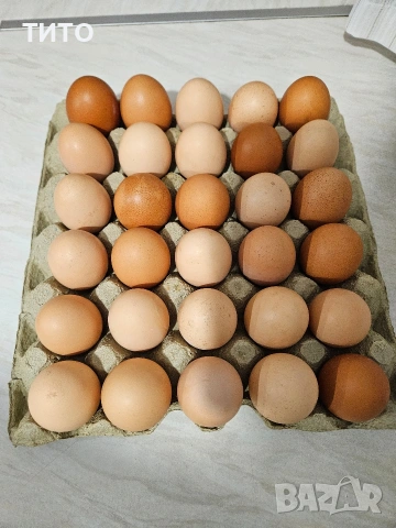 продавам домашни яйца