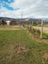 Продавам парцел с.браниполе, снимка 7