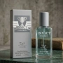 INVICT For Men – Дълготраен мъжки парфюм за енергия, свежест и увереност 22 мл, снимка 5