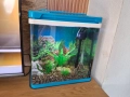 Три  Аквариума , снимка 4