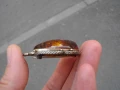 СТАРА ГОЛЯМА БРОШКА С КЕХЛИБАР , снимка 6
